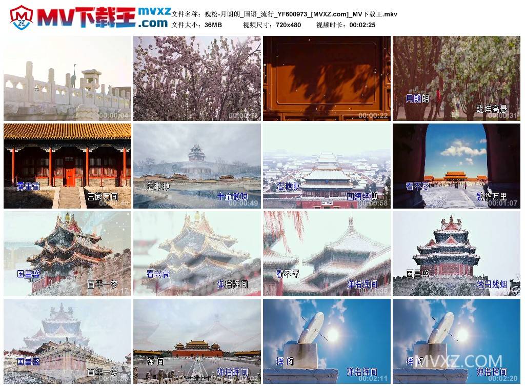 魏松-月朗朗_国语_流行_YF600973
